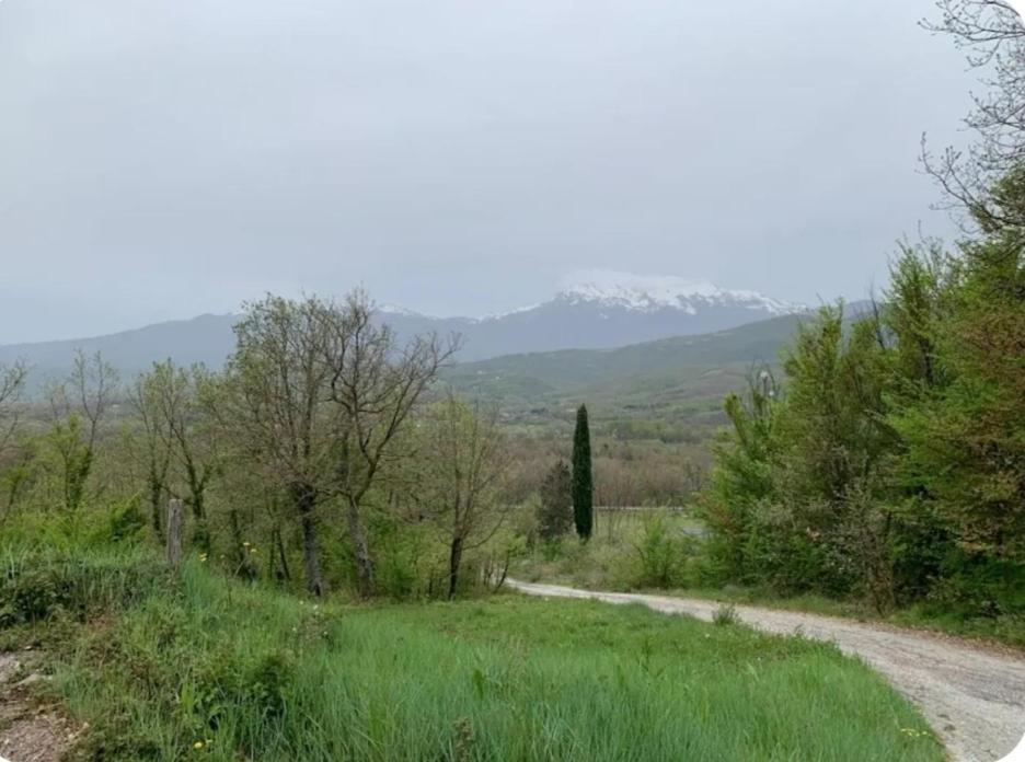 Casa Luciana Leilighet Santa Maria del Molise Eksteriør bilde